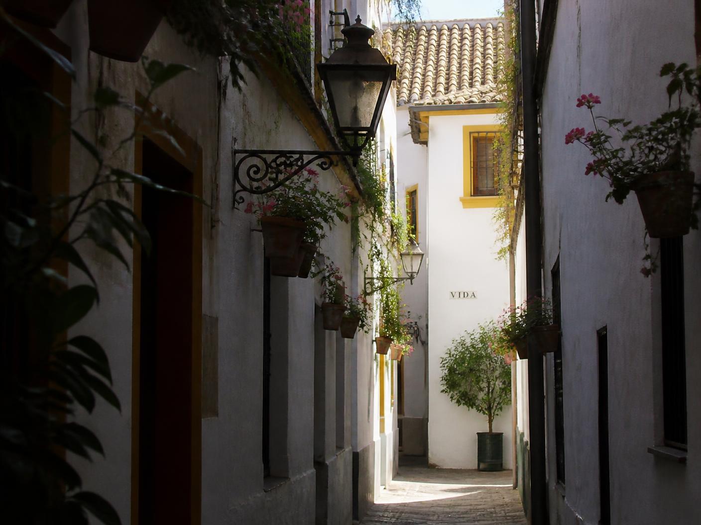 Jewish Quarter — Santa Cruz, retold, Seville